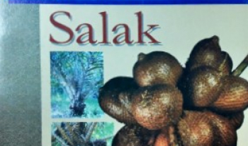 Salak: siri buah-buahan komersial Malaysia